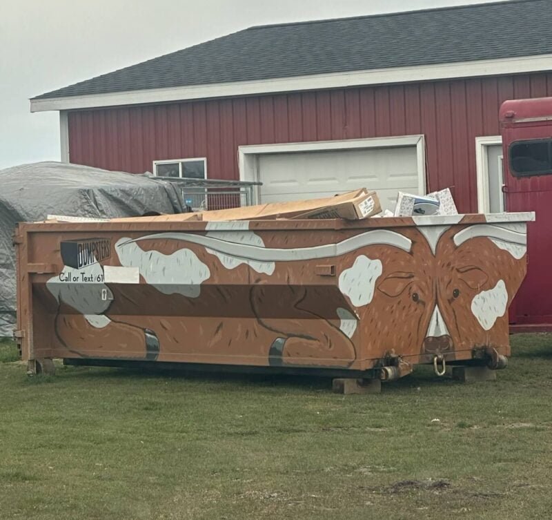 ten cubic yard roll off dumpster with bull motif sitting in front of building