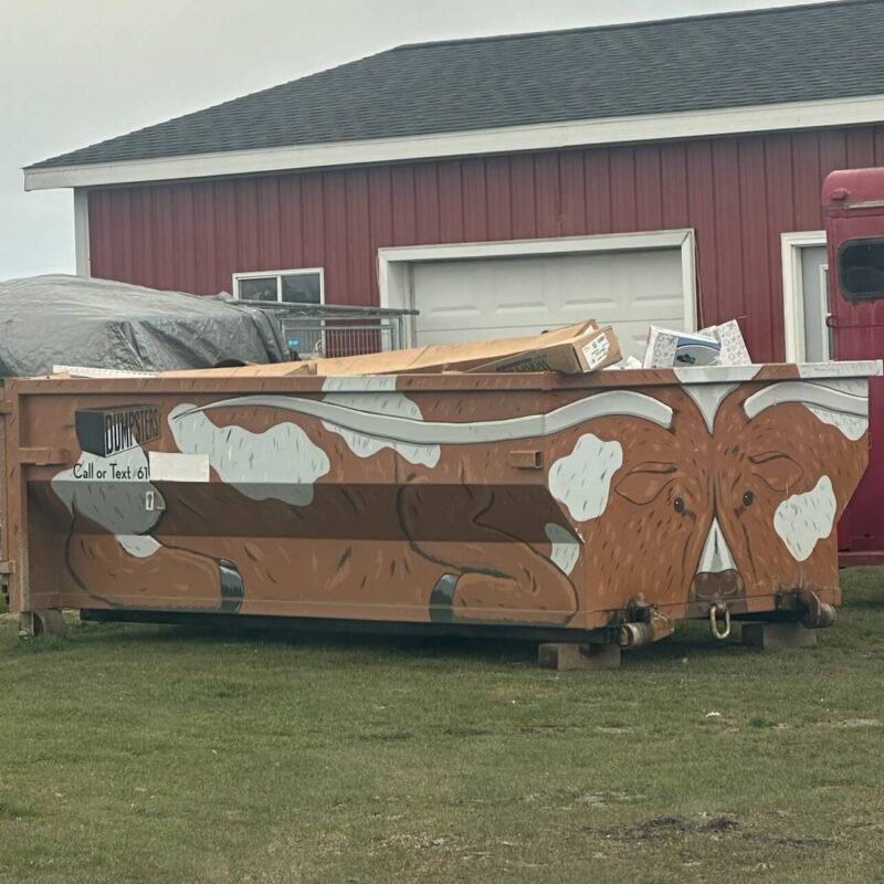 ten cubic yard roll off dumpster with bull motif sitting in front of building